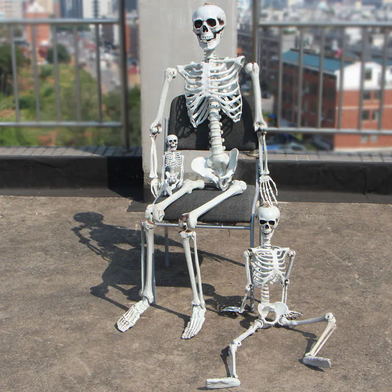 Realistic Skeleton Model