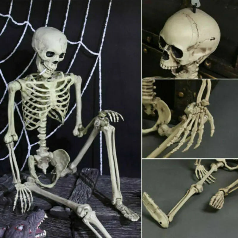 Realistic Skeleton Model